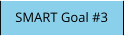 SMART Goal #3